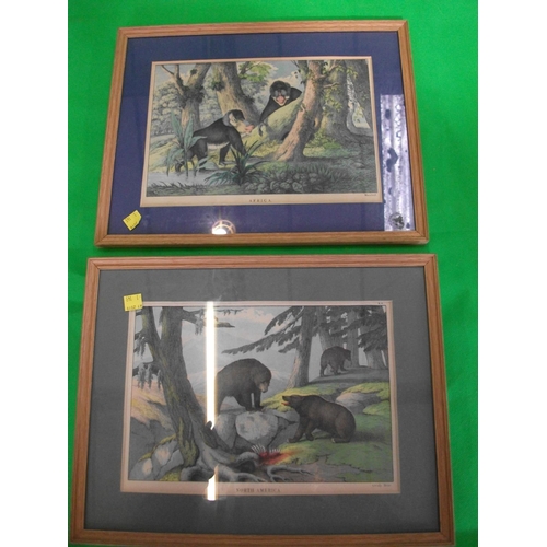 182 - FIVE FRAMED PRINTS OF BIRDS AND ANIMALS