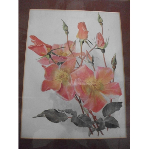 179 - TEN FRAMED PRINTS OF VARIOUS FLOWERS