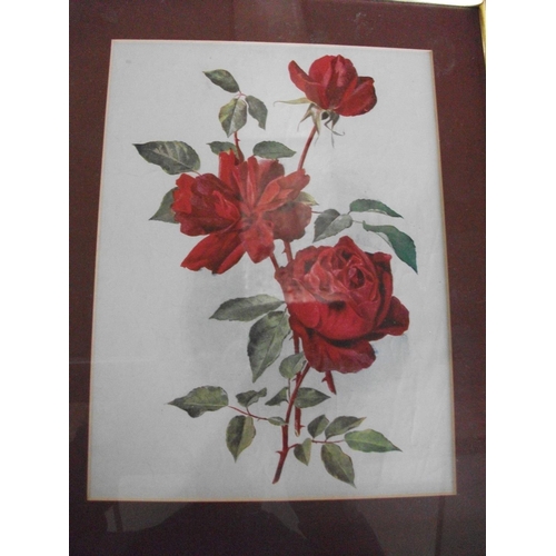 179 - TEN FRAMED PRINTS OF VARIOUS FLOWERS