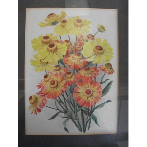 179 - TEN FRAMED PRINTS OF VARIOUS FLOWERS