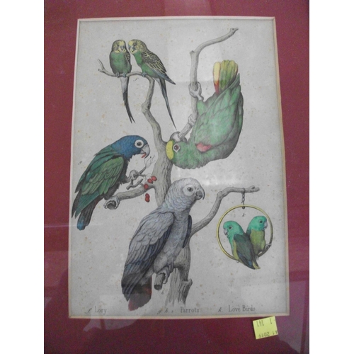 180 - THREE FRAMED PRINTS OF BIRDS