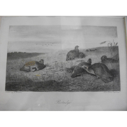 182 - FIVE FRAMED PRINTS OF BIRDS AND ANIMALS