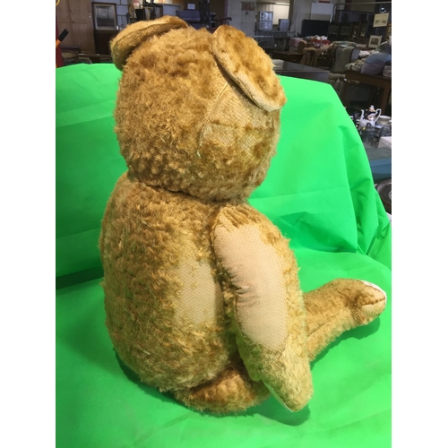 411A - 34'' GROWLER GOLDEN TEDDY BEAR