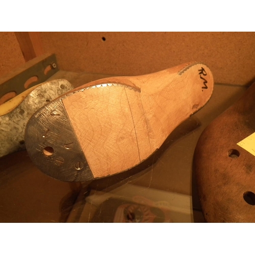 342 - WOODEN SHOE STRETCHERS