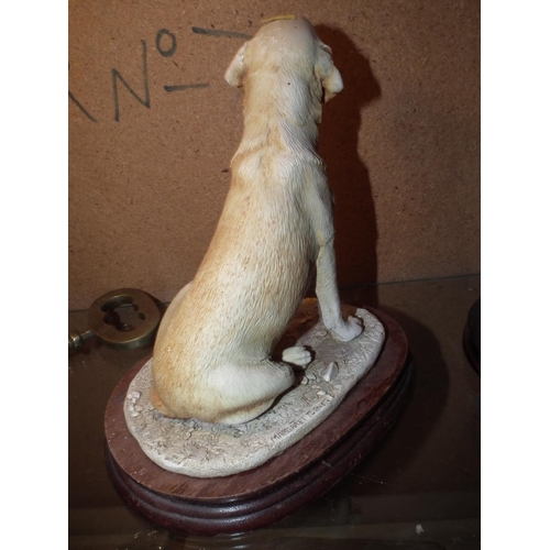 310A - YELLOW LABRADOR BY BORDER FINE ARTS - EAR A/F