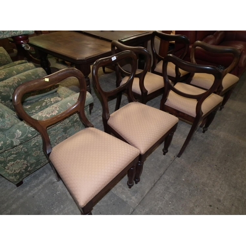 471 - SET OF 6 ROSEWOOD BALLOON BACK CHAIRS