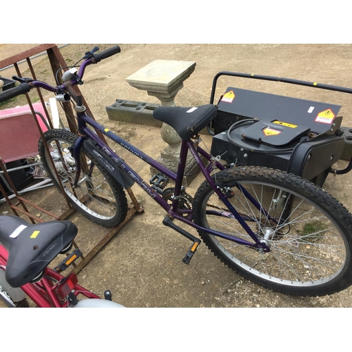 53 - RALEIGH ENIGMA BIKE