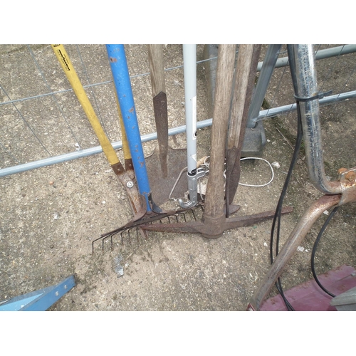 25 - QTY OF GARDEN TOOLS