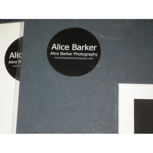 163 - 7 X ALICE BARKER PHOTOGRAPHIC PRINTS