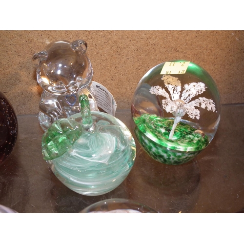 364 - 7 PAPERWEIGHTS (CAITHNESS) + HUMMING BIRD (STOPPER SEALED)