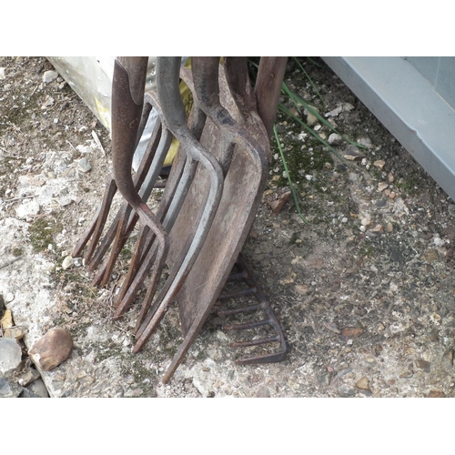 5 - GARDEN TOOLS: 3 X FORKS, SPADE & RAKE