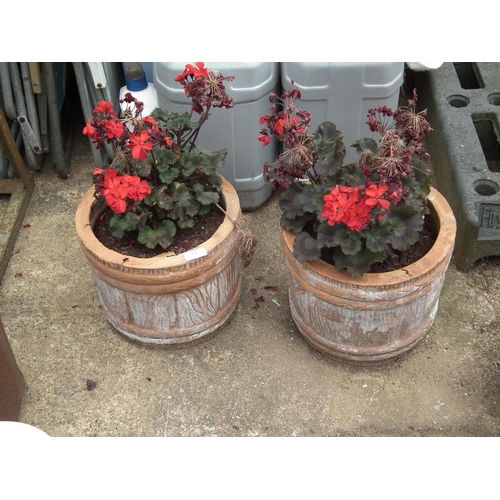 61 - 2 CLAY POTS WITH PLANTS