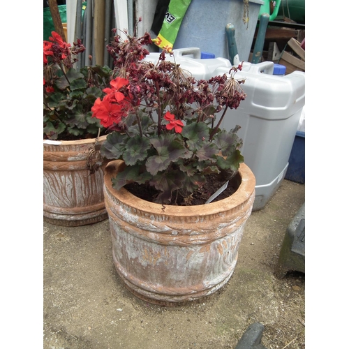 61 - 2 CLAY POTS WITH PLANTS