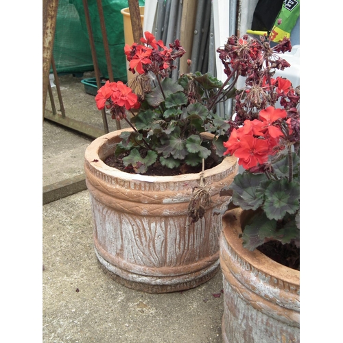 61 - 2 CLAY POTS WITH PLANTS