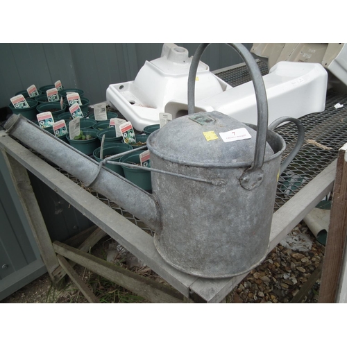 7 - GALVANISED WATERING CAN