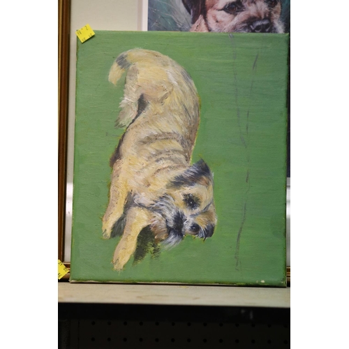 111 - 3 X PICTURES OF BORDER TERRIERS