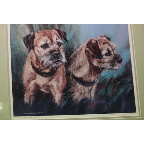 111 - 3 X PICTURES OF BORDER TERRIERS