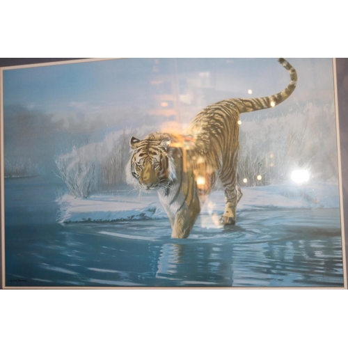 446 - PRINT 'SIBERIAN TIGER' BY LEONARD PEARMAN