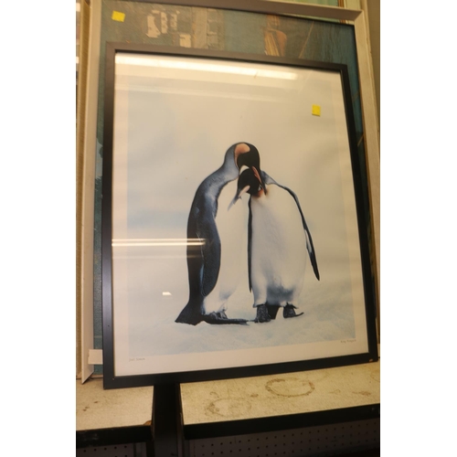 109 - QTY OF FRAMED PICTURES