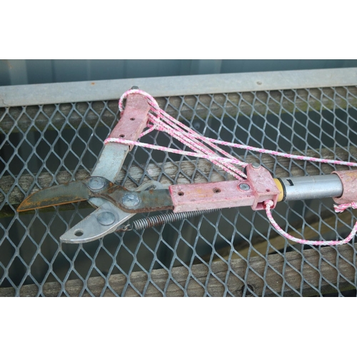 6 - QTY OF WOLF HAND TOOLS