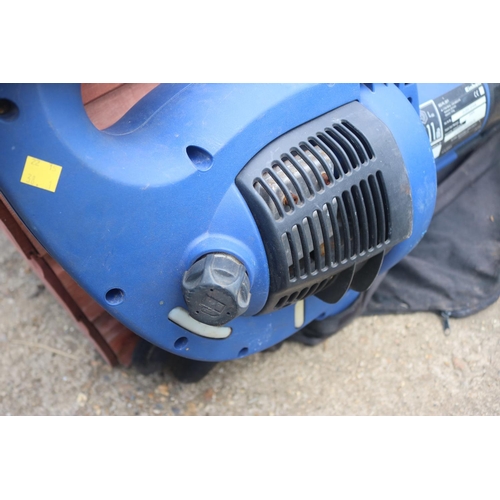 130 - EINHELL PETROL GARDEN VAC/BLOWER SOLD AS SEEN