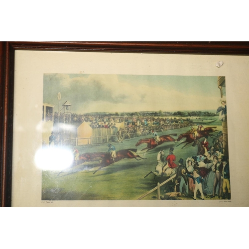 320 - HORSE/RACE COURSE PICTURES