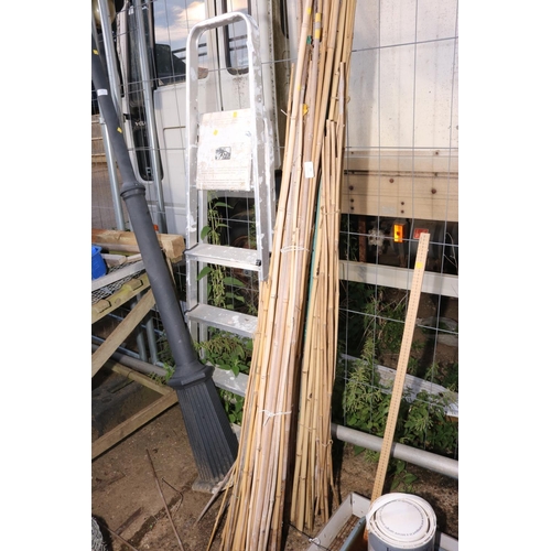 26 - QTY OF VARIOUS SIZED CANES