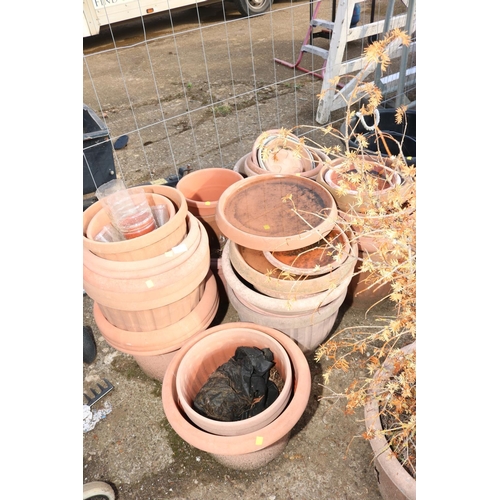 34 - QTY OF VARIOUS PLASTIC PLANTERS