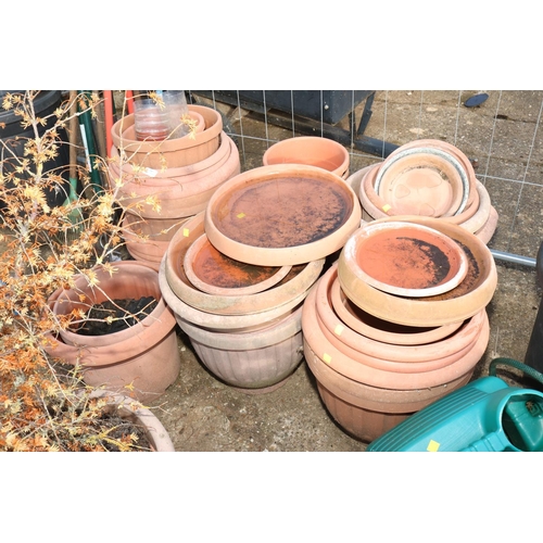 34 - QTY OF VARIOUS PLASTIC PLANTERS