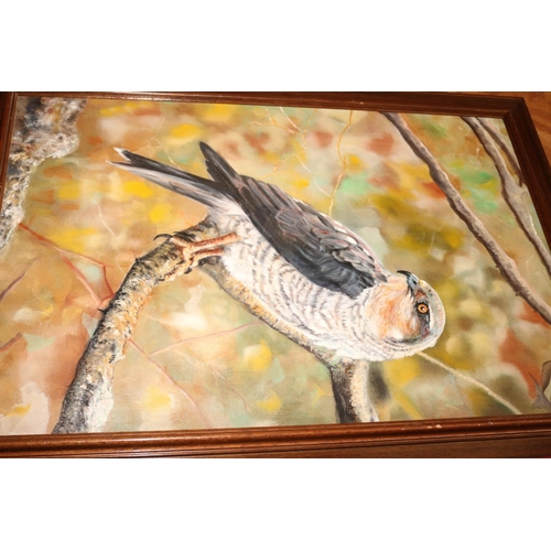 548 - SPARROW HAWK SIGNED & DATED