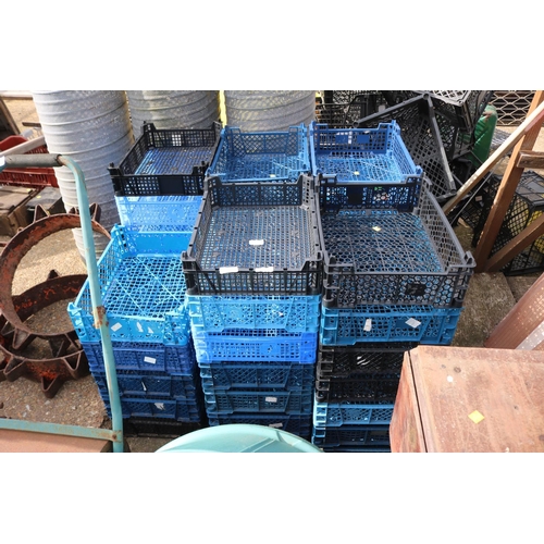 65 - 40 MUSHROOM TRAYS