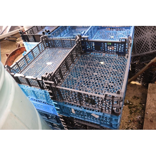 65 - 40 MUSHROOM TRAYS