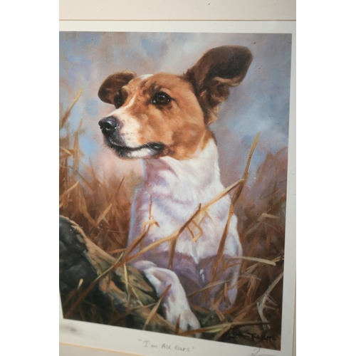 Lot 537       