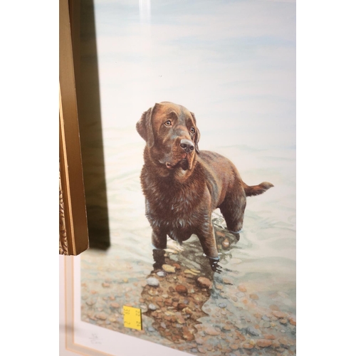 Lot 540       