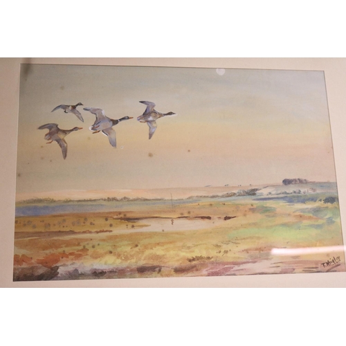 161 - 1 FRAMED & 1 UNFRAMED WATERCOLOUR OF BIRDSBY T WRIGLEY