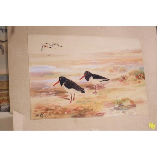 161 - 1 FRAMED & 1 UNFRAMED WATERCOLOUR OF BIRDSBY T WRIGLEY