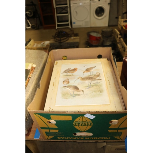 307 - 14 ARCHIBOLD THORBURN BIRD PRINTS - 8 FRAMES, 6 UNFRAMED