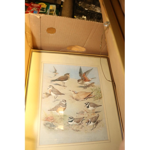 307 - 14 ARCHIBOLD THORBURN BIRD PRINTS - 8 FRAMES, 6 UNFRAMED