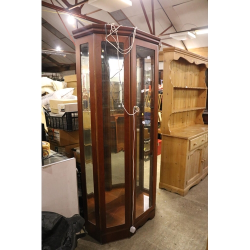 481 - FULL LENGTH MIRROR BACK GLASS DISPLAY CABINET