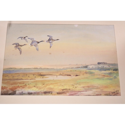 118 - 1 FRAMED & 1 UNFRAMED WATERCOLOUR OF BIRDSBY T WRIGLEY