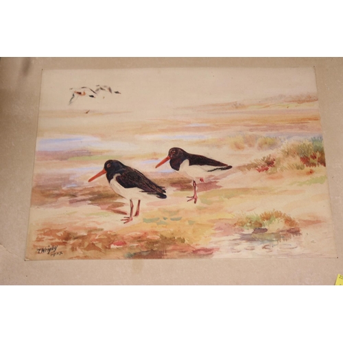 118 - 1 FRAMED & 1 UNFRAMED WATERCOLOUR OF BIRDSBY T WRIGLEY