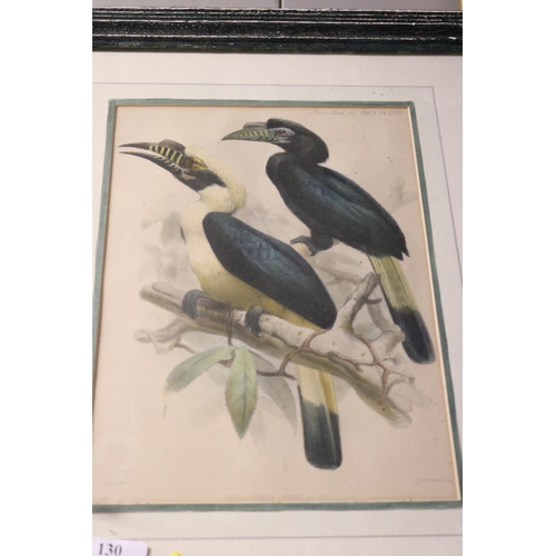 130 - COCK & HEN PRINT & PENELOPIDES PRINT