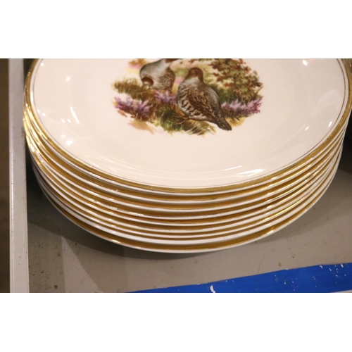 452 - LARGE QTY OF PHEASANT PLATES