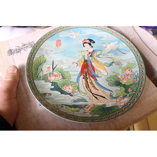 380 - Box of Chinese figure wall plates (12)