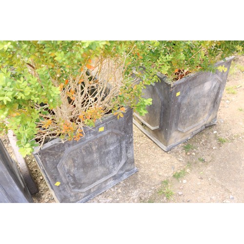 39 - 3 Chelsea square planters, 2 with box plants