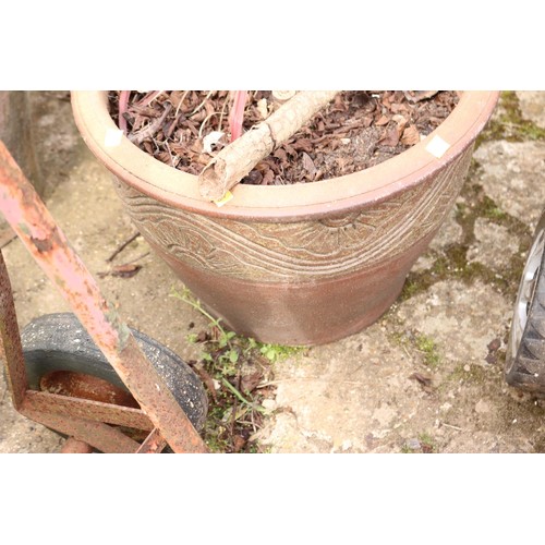 55 - Planted clay pot