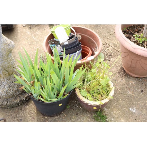 77 - Various plastic plant pots & 1 small glazed