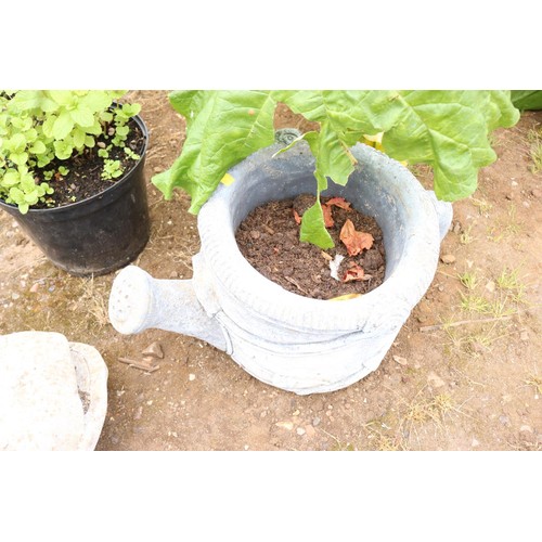 27 - Concrete watering can planter