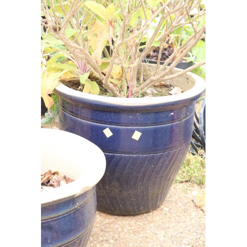 46 - 2 blue glazed pots