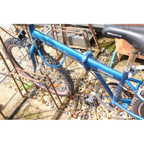 9 - Blue bike